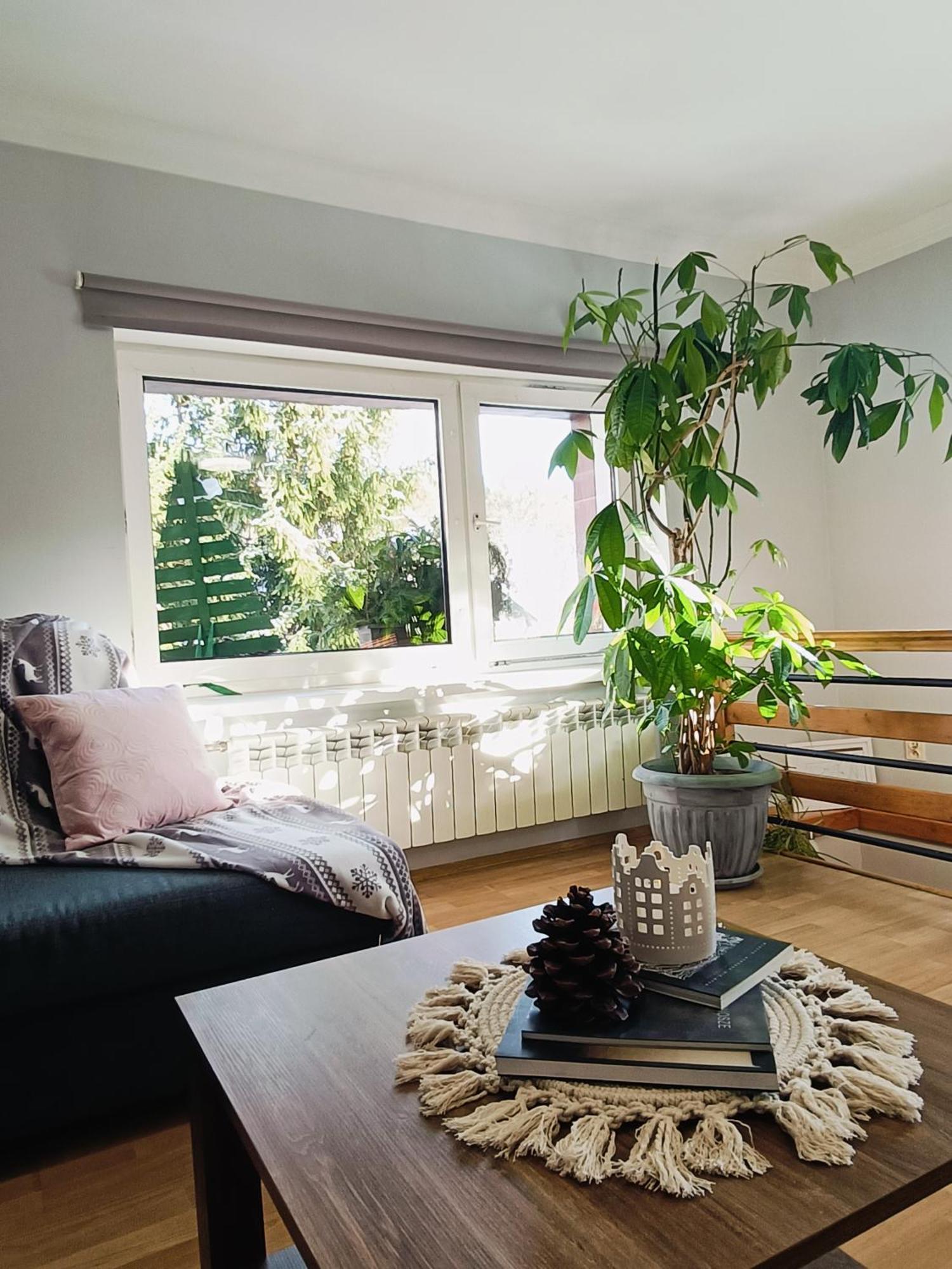 Apartament Nad Potokiem Piechowice  Buitenkant foto